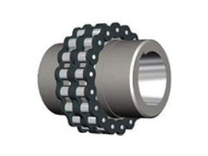 Double Roller Chain Coupling